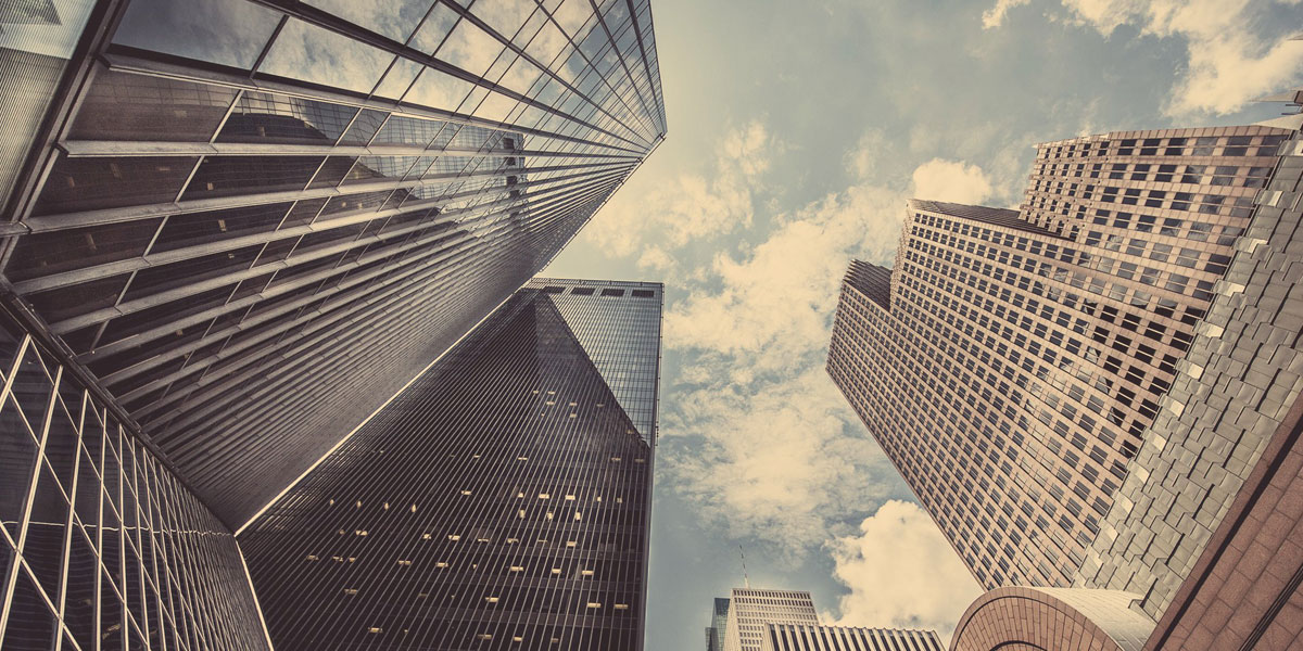 Dr.Mallika Dhanda